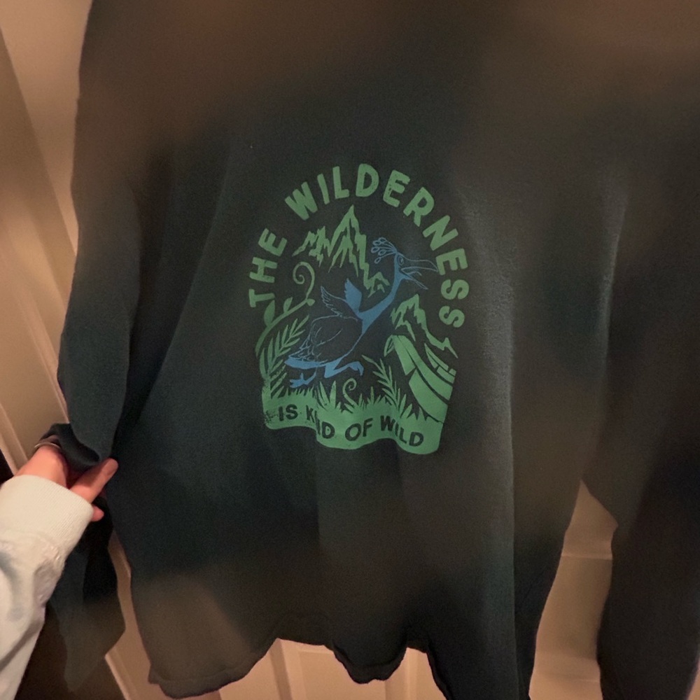 Disney Pixar UP Long sleeve hooded shirt